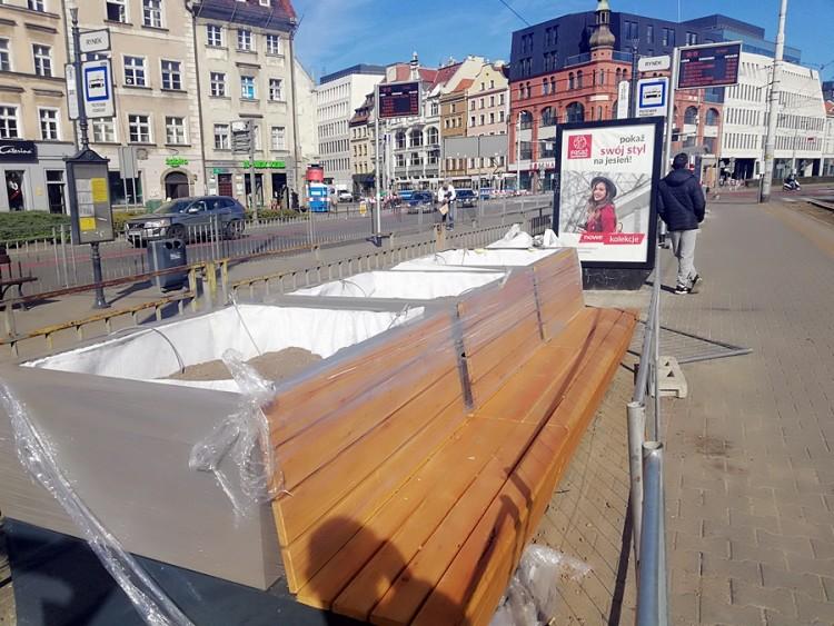 Trwa metamorfoza przystanku na Kazimierza Wielkiego. Ma być zielono! [ZDJĘCIA]