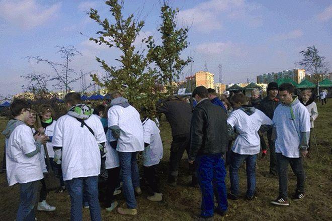 Sadzą we wrocławskim parku prawie pół tysiąca drzew. Będzie też mnóstwo atrakcji dla dorosłych i dzieci