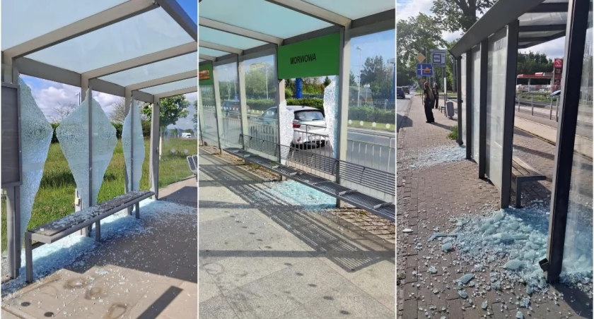 Wandale terroryzują Wrocław. Masowe zniszczenia przystanków w całym mieście