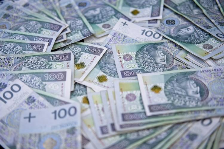 Dolnośląskie Małe Granty. Jest lista zwycięskich projektów