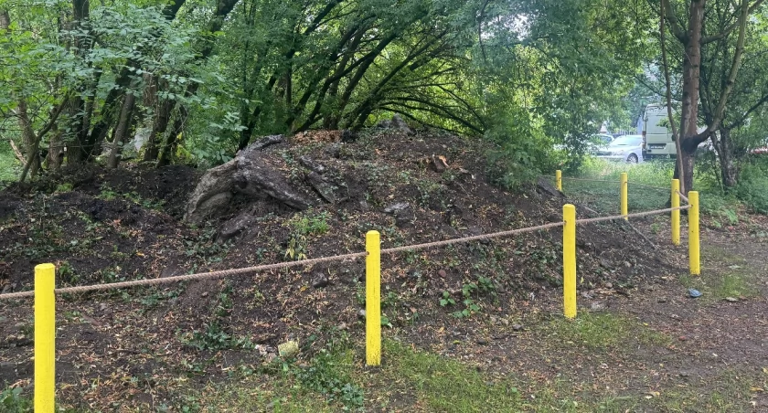 Betonowe hałdy w parku za miliony. Spokojnie, to tylko... „górki ruderalne” 