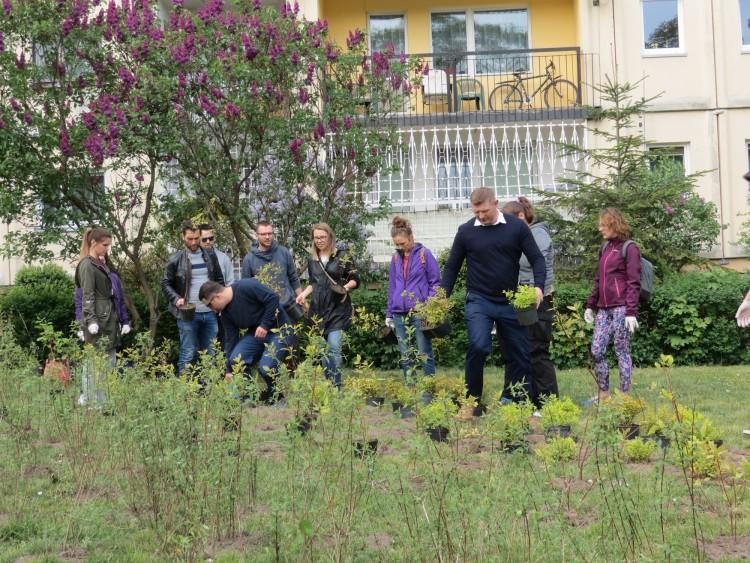 Wrocławianie wraz z prezydentem będą bić Zielony Rekord Polski