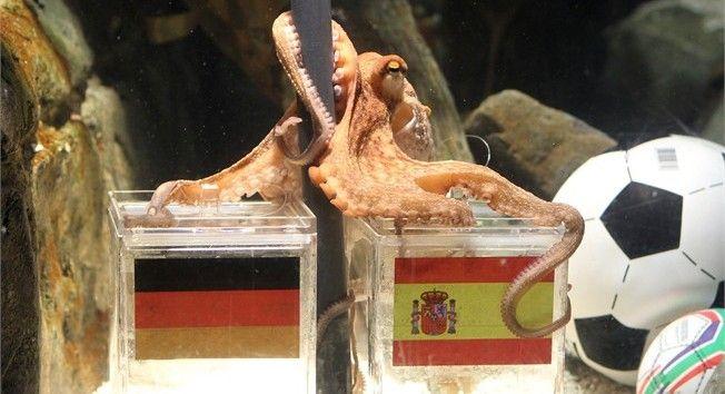 Okiem laika: Mistrzostwa Świata RPA 2010 cz.7