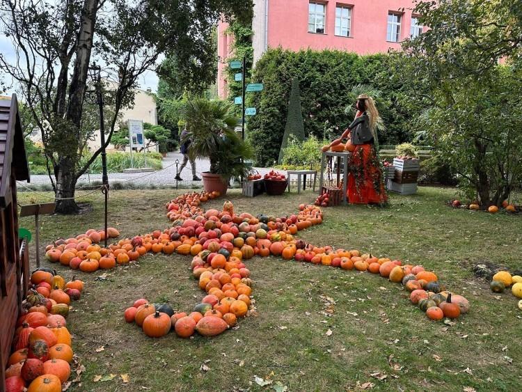 Wrocław: XXI Festiwal Dyni w Ogrodzie Botanicznym tuż, tuż. Będzie się działo!