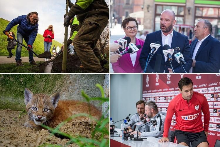 Kolejna odsłona kampanii wyborczej i trening reprezentacji Polski [PODSUMOWANIE DNIA]