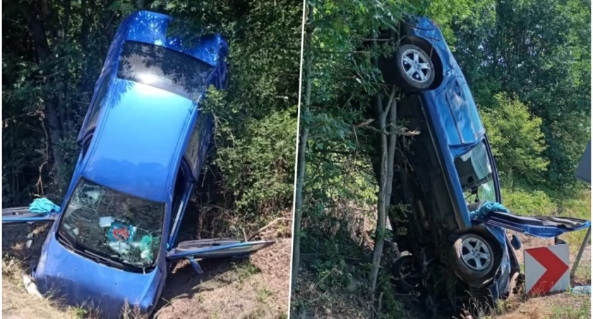 Pijany 79-latek wypadł z drogi. Auto zatrzymało się na drzewie. Pionowo!