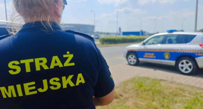 „Mucha wpadła mi do oka”, „chciałem się oświadczyć”. Tak tłumaczą się wrocławscy kierowcy