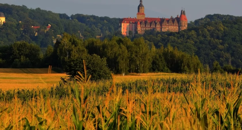 Wypad z Wrocławia większą ekipą? Pomysły na wyjazdy, na które warto zabrać busa