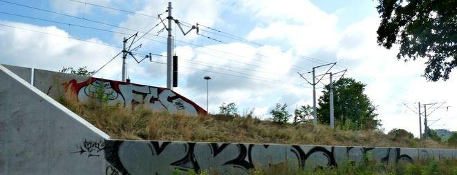 Wrocławscy studenci będą walczyć z wandalizmem i graffiti. Popiera ich Rafał Dutkiewicz