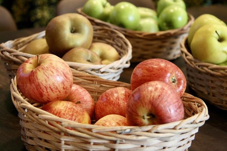 Warsztaty Slow Food już w ten weekend we Wrocławiu