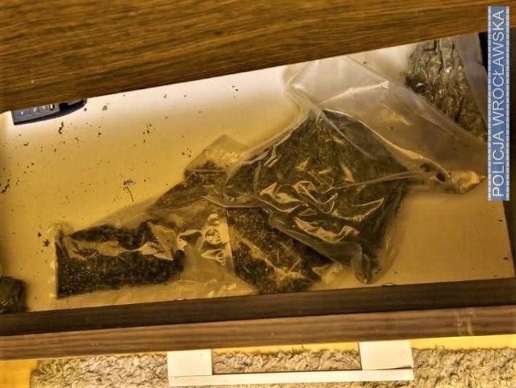 Wrocław: Plantacja marihuany w mieszkaniu w bloku. Właścicielowi grozi 10 lat więzienia