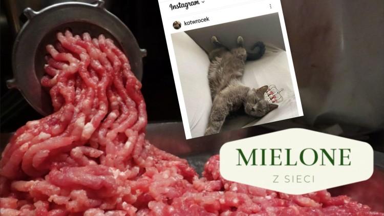 MIELONE Z SIECI Gwiazdy odpoczywają, prezydent rymuje…
