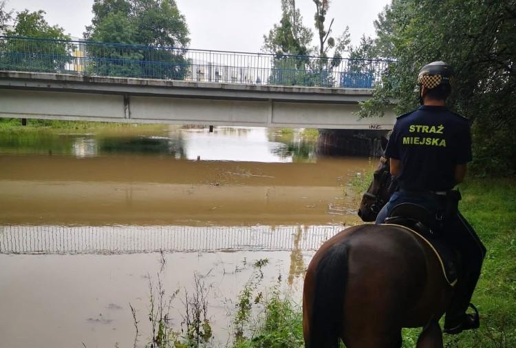 Zagrożenie powodziowe we Wrocławiu. Straż miejska ostrzega, rzeki wzbierają