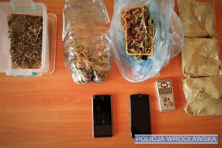 30-latek urządził sobie w mieszkaniu plantację marihuany. Został zatrzymany [ZDJĘCIA]