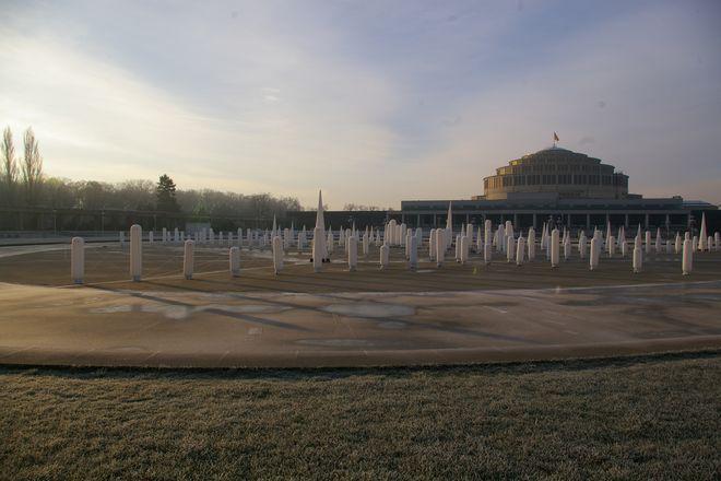 Symbol Wrocławia i całe jego otoczenie zyskały świąteczne oświetlenie