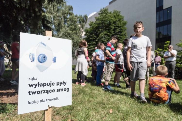 Wrocławscy podatnicy zafundują 100 zielonych ulic na 100-lecie niepodległości