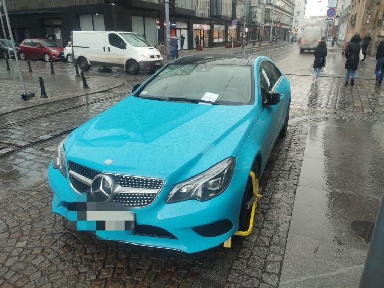 Oto ulubieniec straży miejskiej. Mówią o nim 