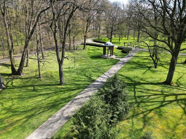 Tu we Wrocławiu odpoczniesz w otoczeniu zieleni – miejsca na spacer i piknik w mieście