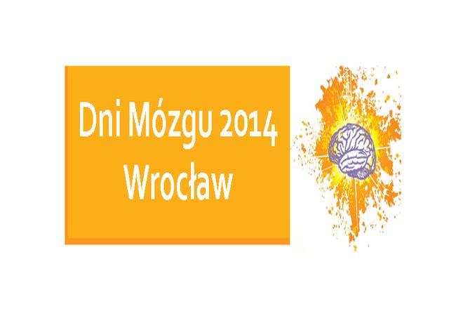 Dni Mózgu we Wrocławiu. Zadbaj o najważniejszy organ  