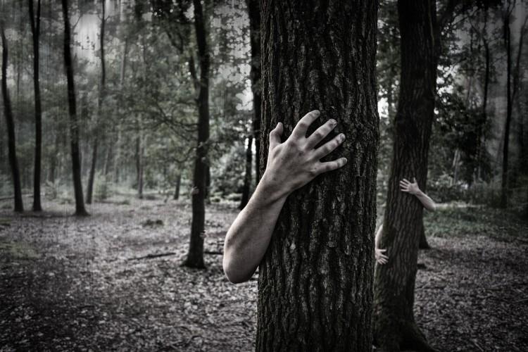We Wrocławiu powieje grozą. Rusza Horror Day