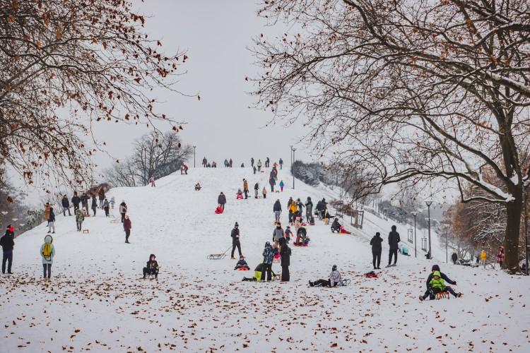 Śnieg we Wrocławiu — sanki, ślizgacze i dużo zabawy! Zobacz zdjęcia!