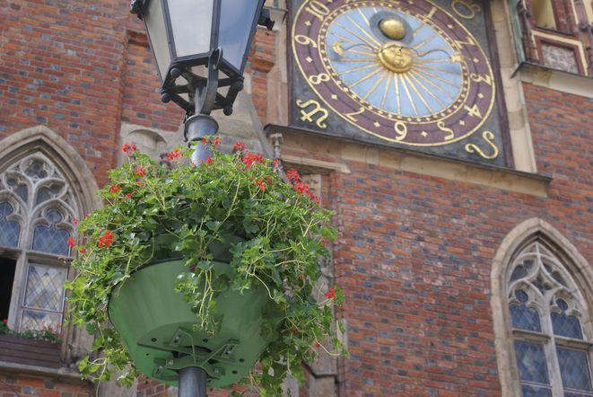 4 tysiące złotych na upiększanie miasta