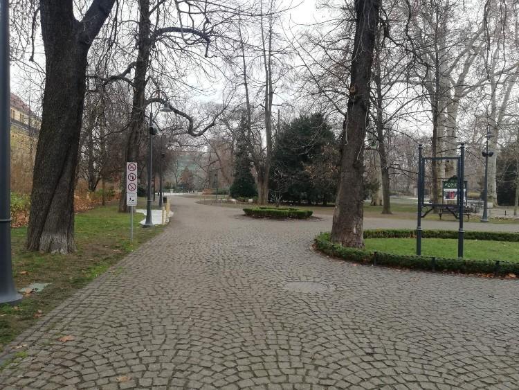 Krajobraz po „Zaczarowanym Ogrodzie”. Spore zniszczenia w Parku Staromiejskim
