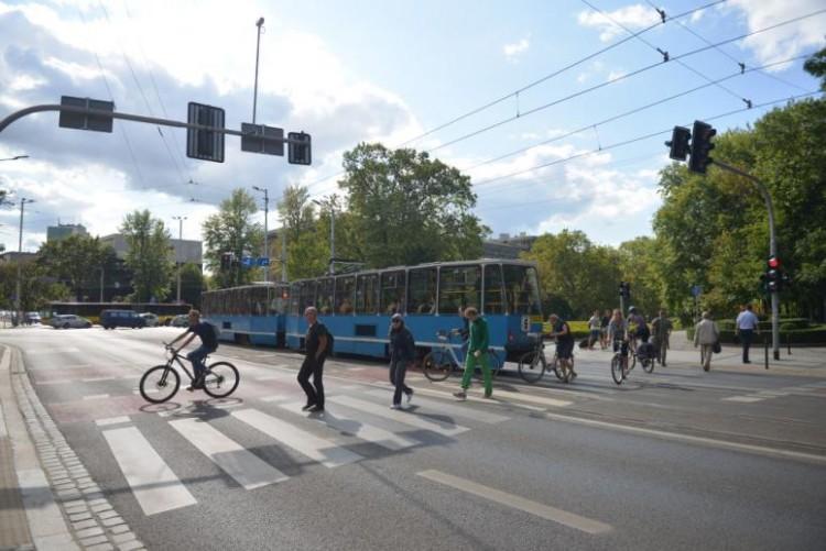Policja skupiła się na bezpieczeństwie pieszych. Posypały się mandaty nie tylko dla kierowców