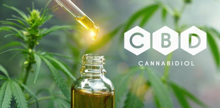 Czy to prawda, że olej CBD zapobiega infekcji COVID-19?