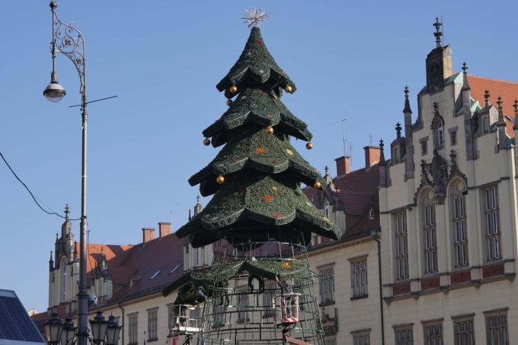 Wrocław: Choinka na Rynku już stoi