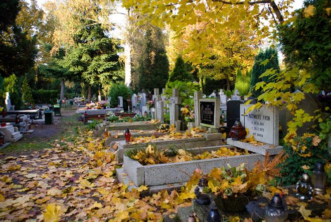 Wszystkich Świętych: zadbaj o swoje bezpieczeństwo