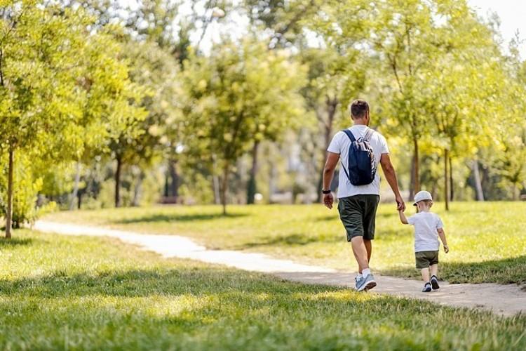 Wrocław: Wielki park w klinie wojszyckim. Co dalej?