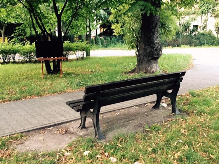 Wrocław: miasto usuwa ławki ze skweru. „Najlepiej usuńmy cały skwerek”