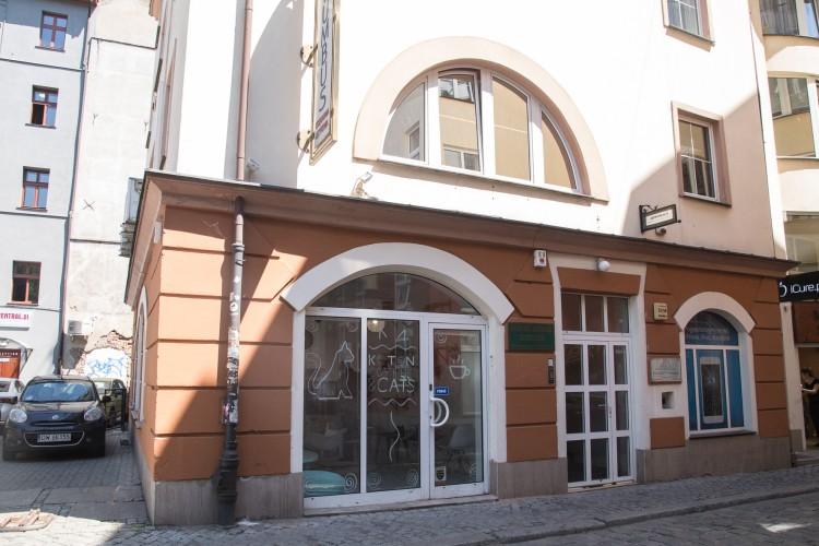Koton. Działa już druga kocia kawiarnia we Wrocławiu [ZDJĘCIA]