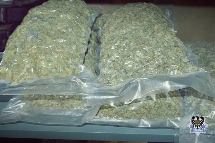 Dolny Śląsk: aresztowany właściciel kilku plantacji narkotyków [ZDJĘCIA]