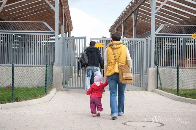 Dni otwarte w schronisku: przygarnij jedno z ponad 500 bezdomnych zwierząt