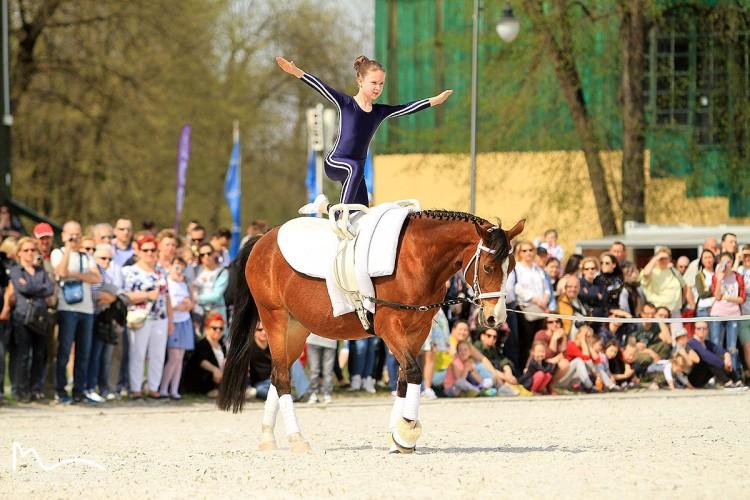 Konie w mieście. W niedzielę WTWK Partynice zawita na plac Wolności