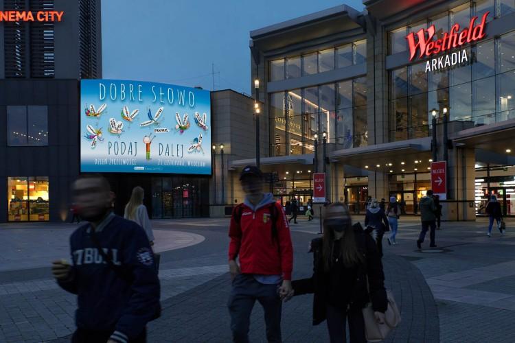 Wrocław reklamuje się w innych miastach. Zaskakująca kwota na rocznej umowie