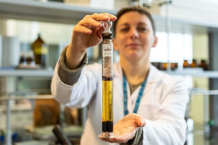 Wrocławscy naukowcy odtworzyli drogi, starożytny lek. Tymczasem to placebo