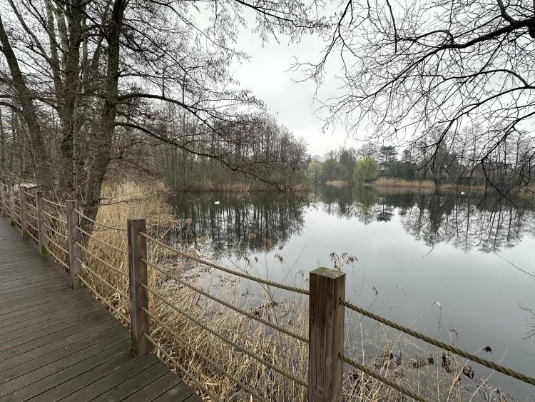 Na Asfaltowej nie ma asfaltu, a na Ceglanej nie robią już cegieł. Czy nazwy ulic do nich pasują? Sprawdzamy!