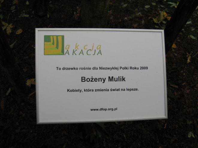 Niezwykła Polka 2009