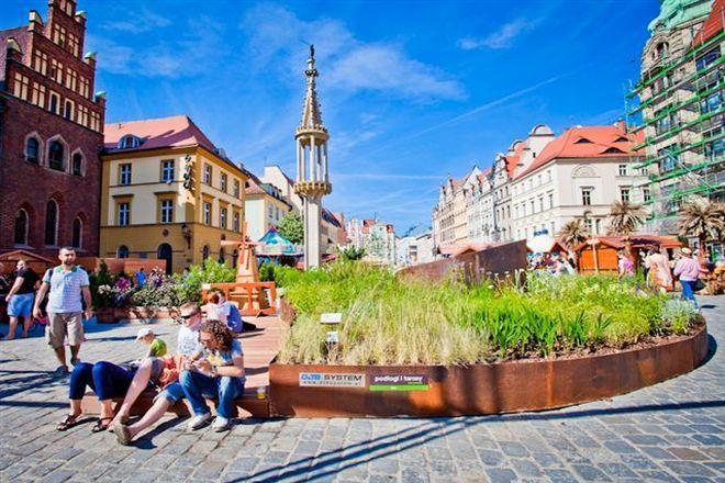 We Wrocławiu prowadzą badania nad nową żywnością, bo prawie miliard ludzi na świecie głoduje