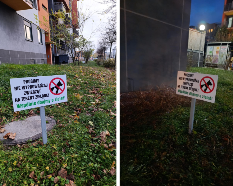 Na Lipie Piotrowskiej psy nie mogą wchodzić na trawniki. „Bo sikają...