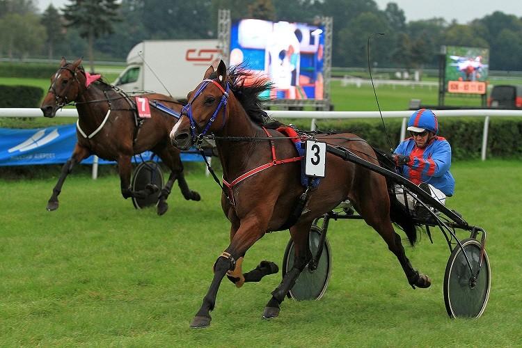 Trenerski hat-trick Anny Frontczak-Salivonchyk na Dniu Kłusaczym na Partynicach