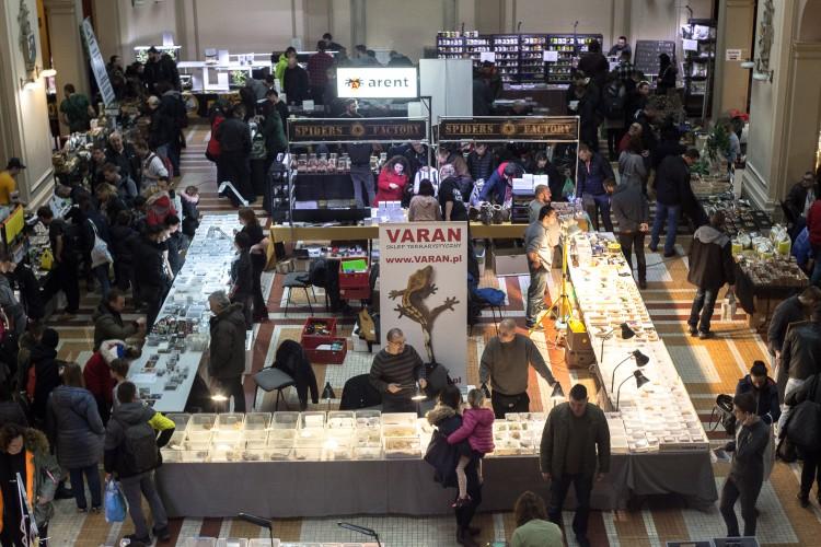 Exotica 2018. Święto miłośników zwierząt egzotycznych we Wrocławiu [ZDJĘCIA]