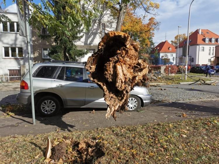 Wrocław: ostrzeżenie meteorologiczne przedłużone. Trzeba być ostrożnym!