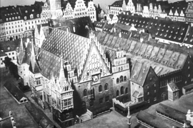 Wielbłąd na placu Grunwaldzkim podczas Kadrów Wrocławia