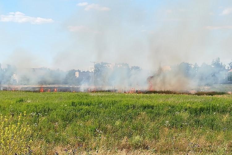 Pożar na Psim Polu. Płonęły tereny na obrzeżach Wrocławia