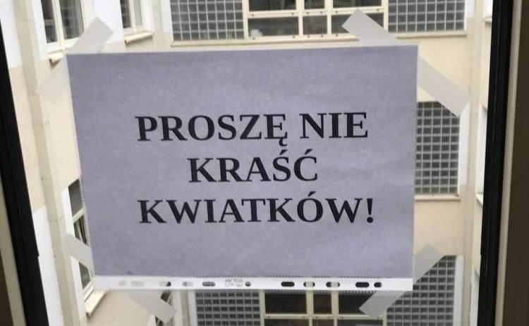 Złodziej kwiatków w szpitalu uniwersyteckim. Pomogła prośba pielęgniarki