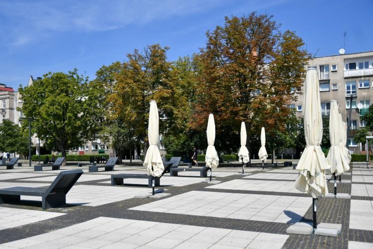 Wrocław: Walka z betonozą na placu Nowy Targ. Ma być więcej zieleni i niecka z wodą